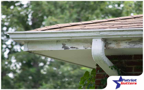 signs that your gutters require cleaning