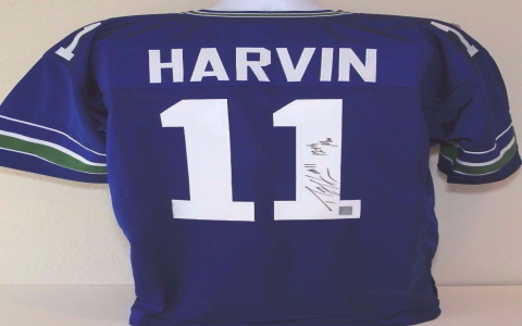 seattle seahawks percy harvin：the seahawks' percy harvin highlights
