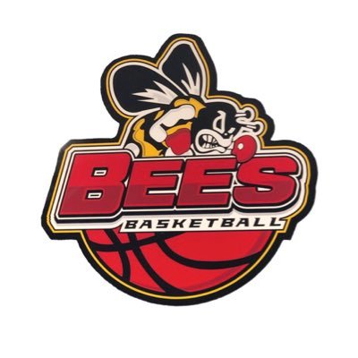 brecksville broadview heights high school hoops