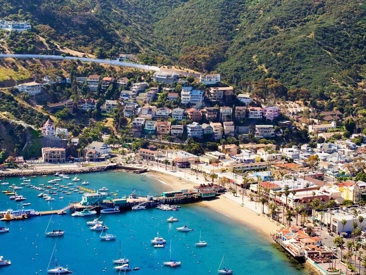 the ideal time to visit catalina island