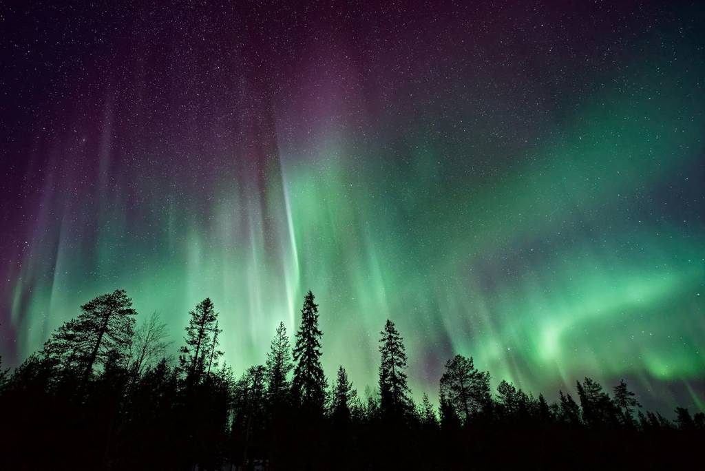 are the northern lights visible in washington state this evening？