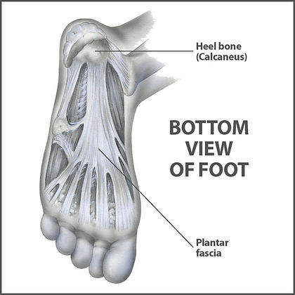 fibromyalgia plantar fasciitis：fibromyalgia and plantar fasciitis： a dual challenge