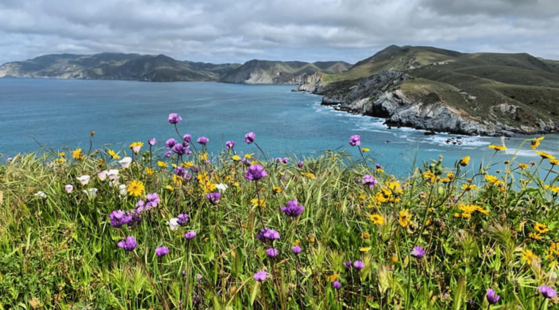 the ideal time to visit catalina island