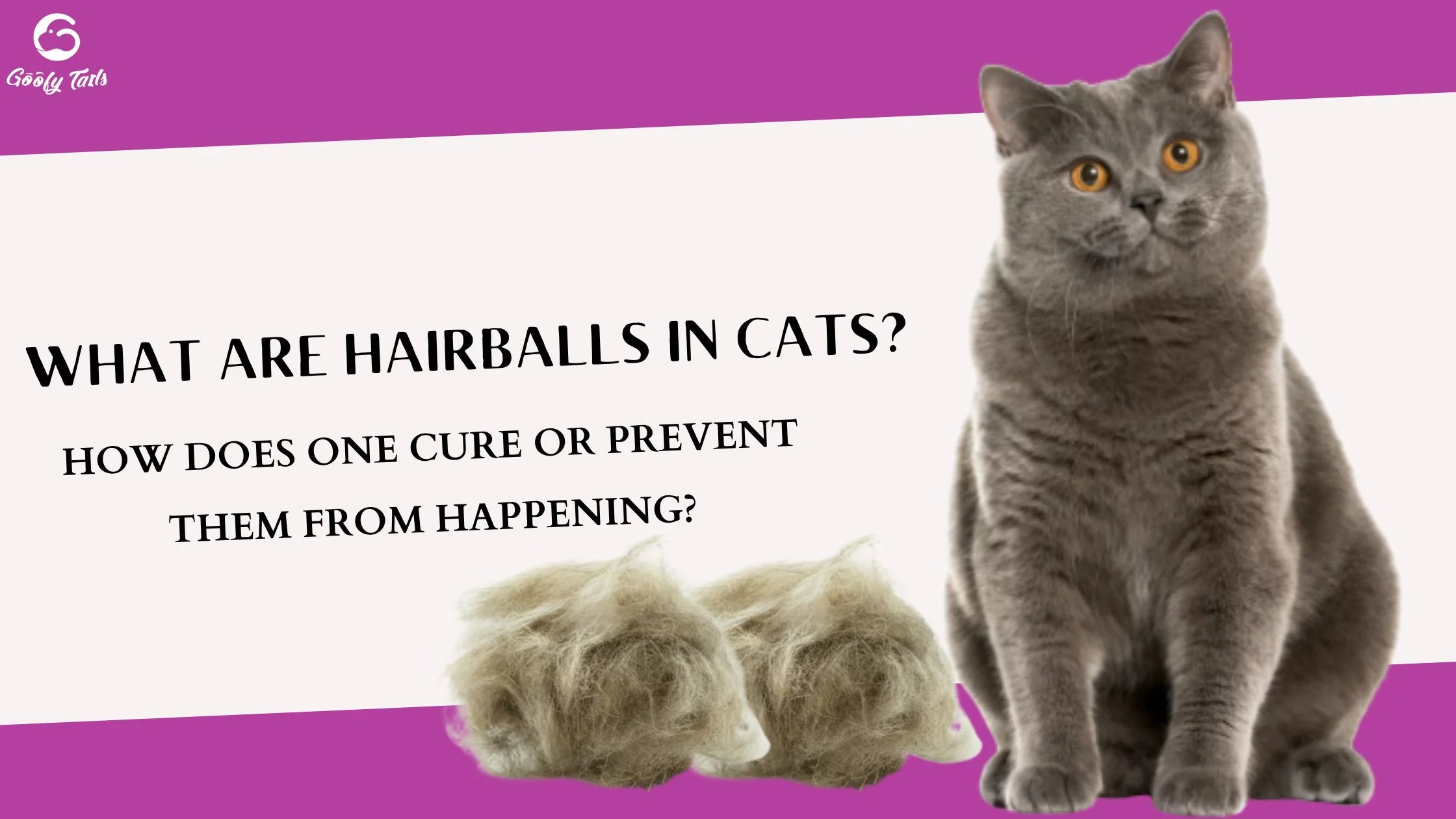 what age do cats get hairballs：at what age do cats start to develop hairballs