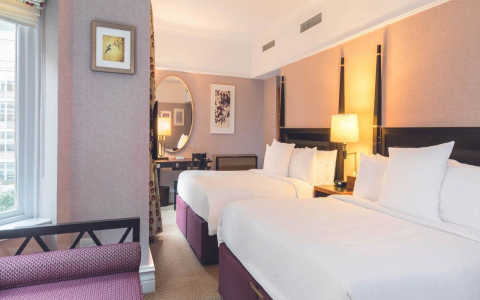 hotel room family：family hotel accommodation