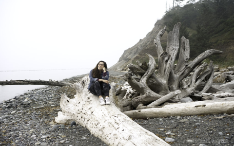 whidbey island wa things to do：explore things to do on whidbey island, wa