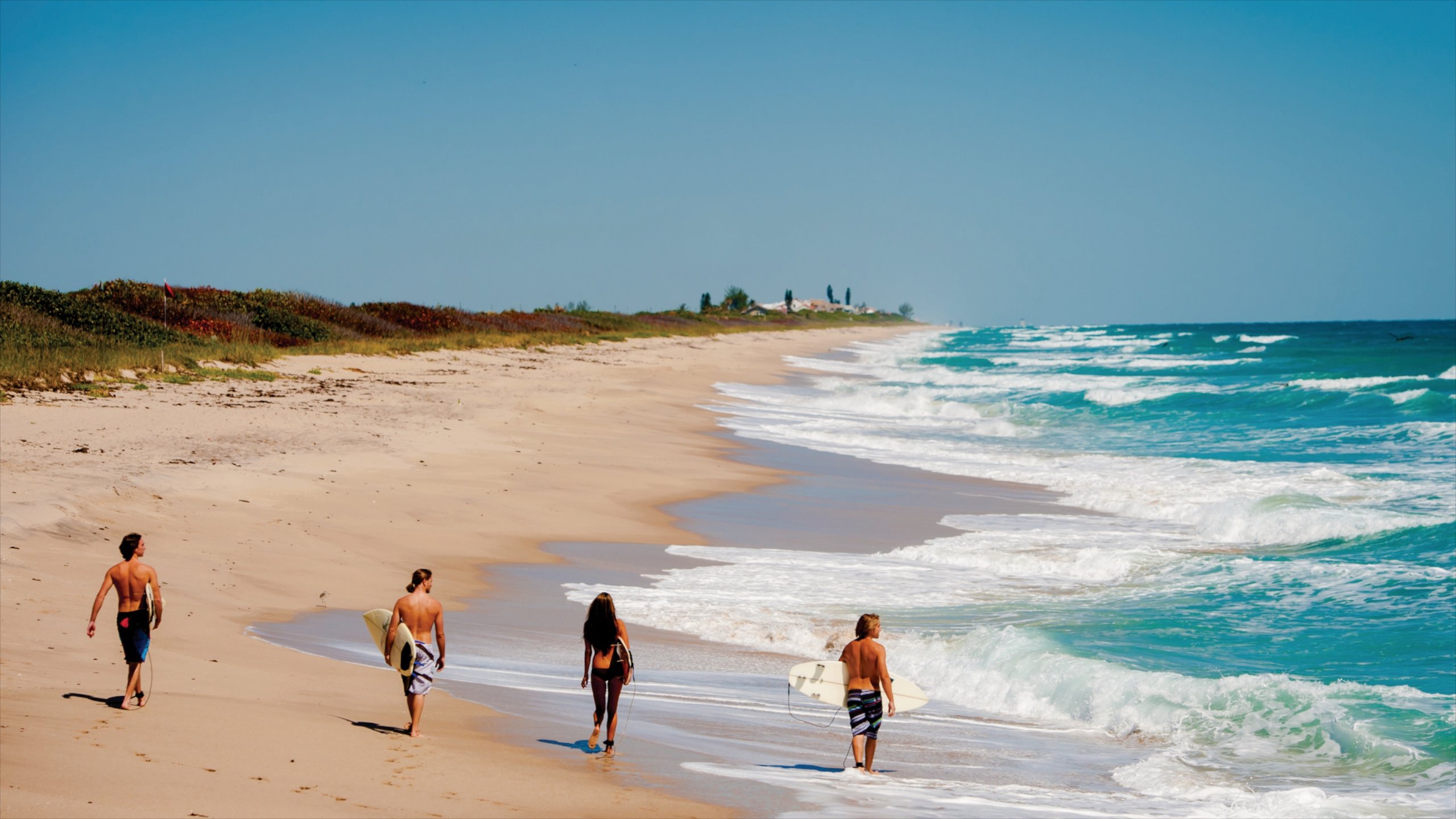 merritt island florida beaches:explore the shores of merritt island, florida