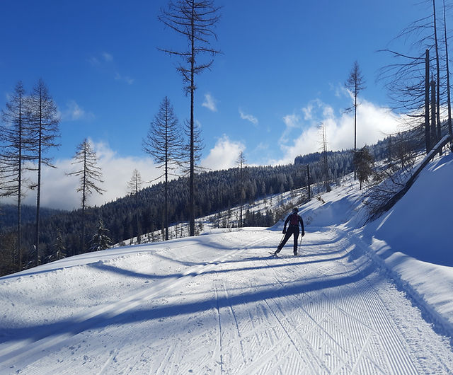 spokane nordic ski association:spokane cross-country ski enthusiasts group