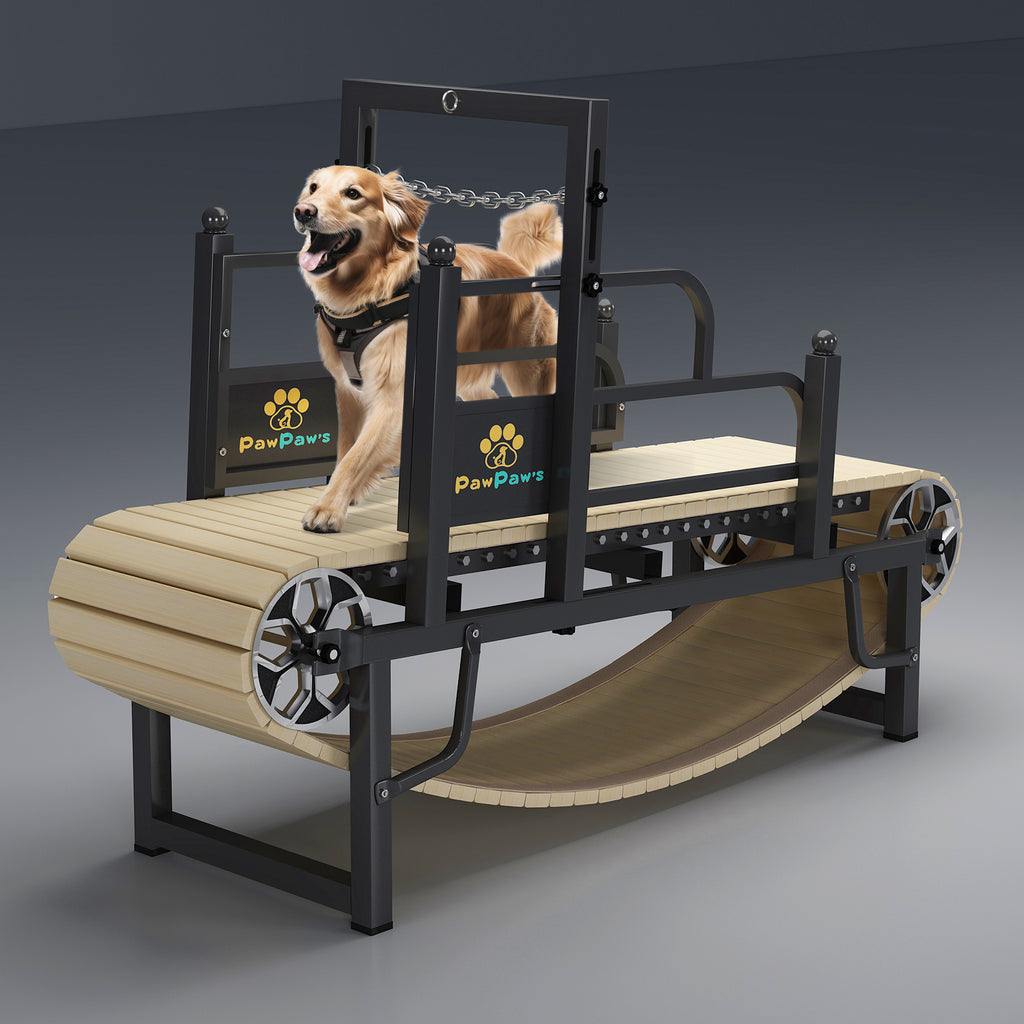 self propelled dog treadmill:self-driving dog treadmill