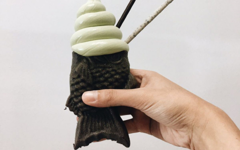 fish cone ice cream：fish-shaped ice cream cone
