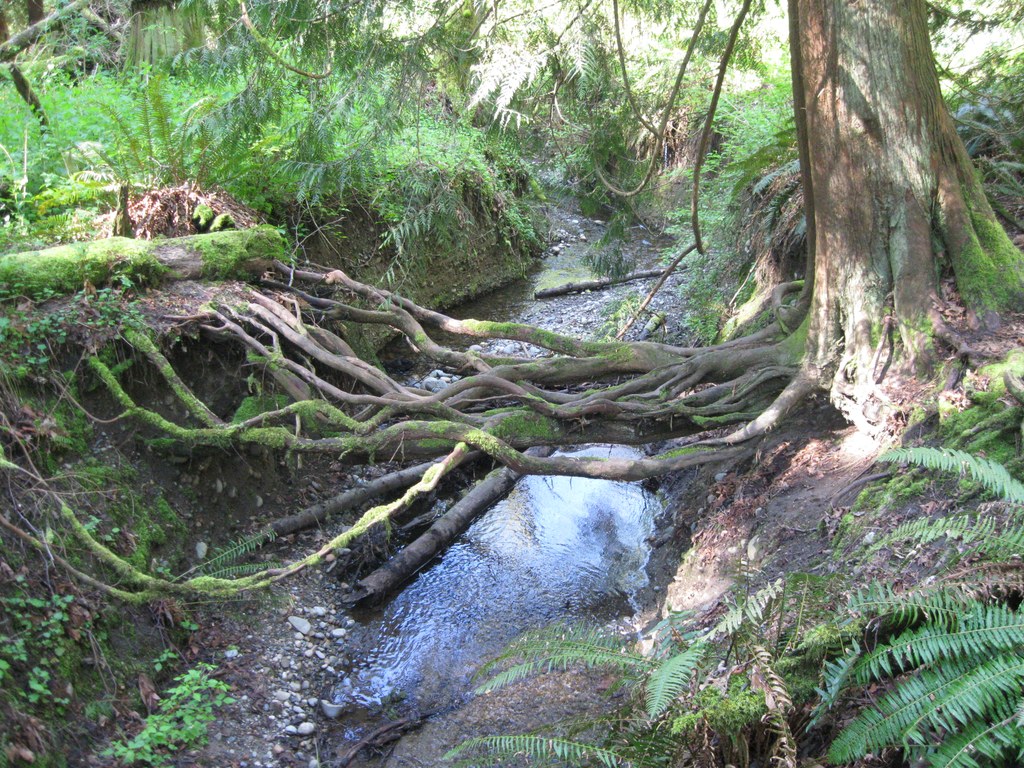 big gulch park：large canyon park