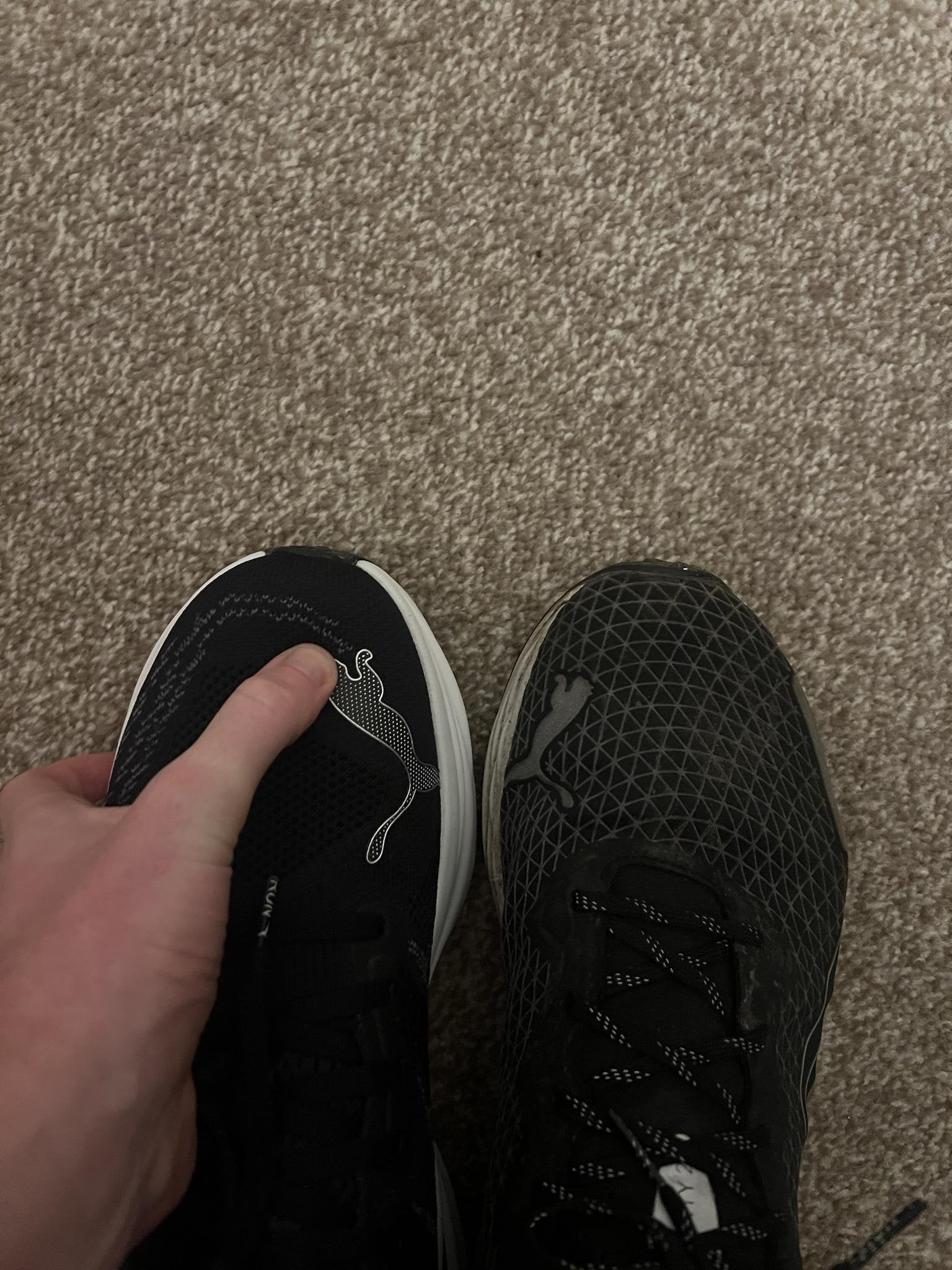 do pumas run small：are pumas sized smaller？