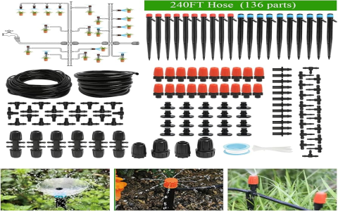 austin watering schedule：austin irrigation timetable