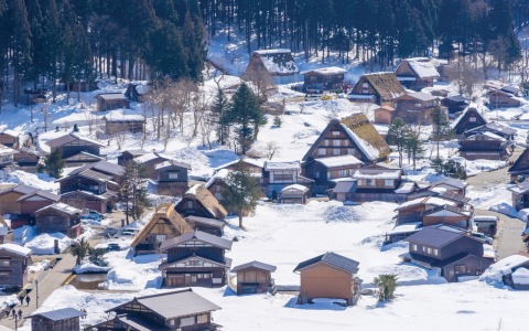 snow valley legs japan：snowy valley legacies of japan
