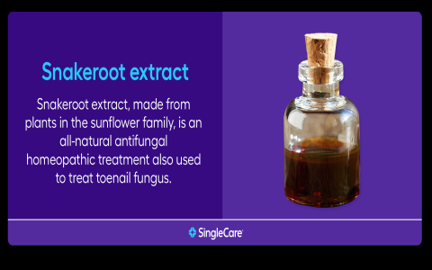 can bleach kill nail fungus：can bleach eliminate nail fungus