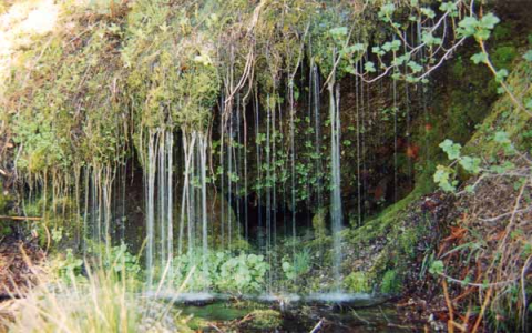crockett garden falls：crockett garden waterfall