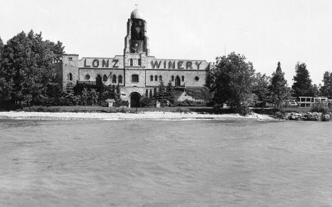 lonz winery：lonz vineyard