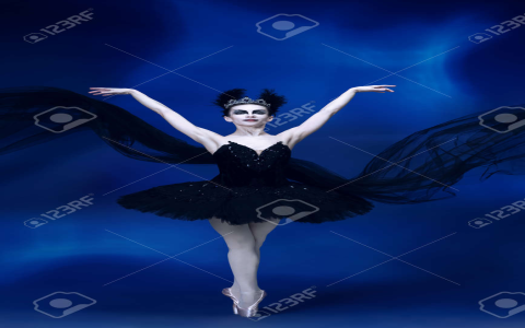 black swan ballet outfit