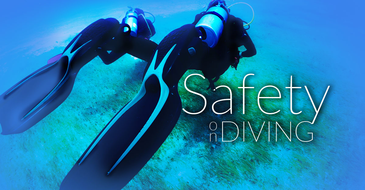 Puget Sound Diving: Gear & Safety (Everything you need to know,man!)